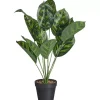 Best Sale Kunstplant Caladium Groen Kunstplanten & Kunstbloemen