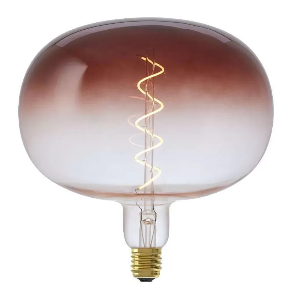 Best Led Lamp 22X22,5 Cm Bruin E27 Dimbaar Lichtbronnen