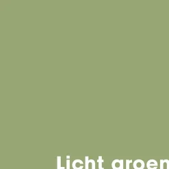 Cheap Muurverf Mat Licht Groen - 1 L Muurverf