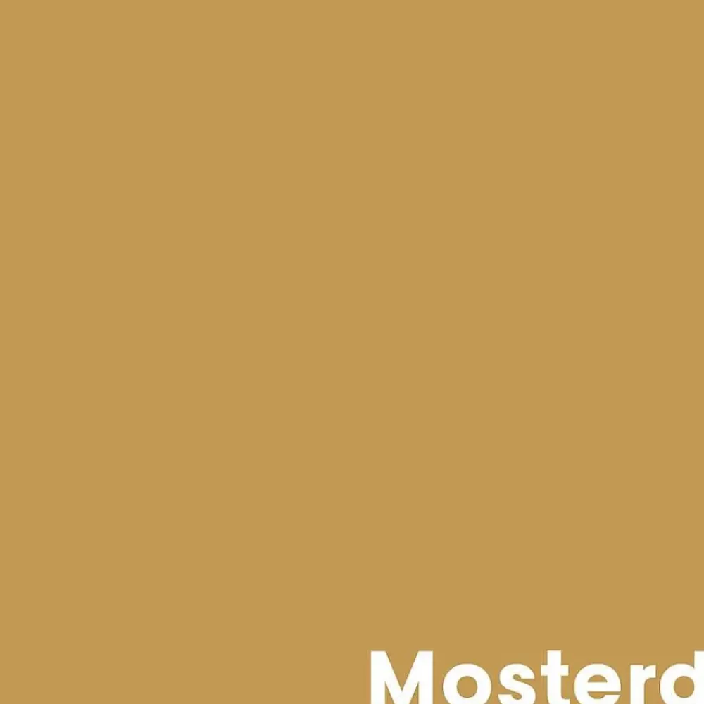 Outlet Muurverf Mat Mosterd - 1 L Muurverf