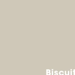 Clearance Muurverf Professional Biscuit - 1 L Muurverf