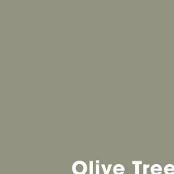Fashion Muurverf Professional Olive Tree - 1 L Muurverf