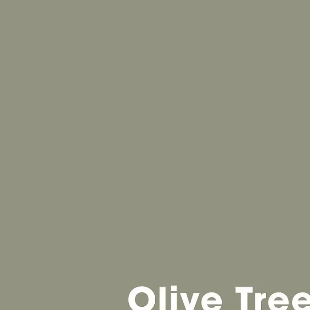 Fashion Muurverf Professional Olive Tree - 1 L Muurverf