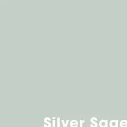 Outlet Muurverf Professional Silver Sage - 1 L Muurverf