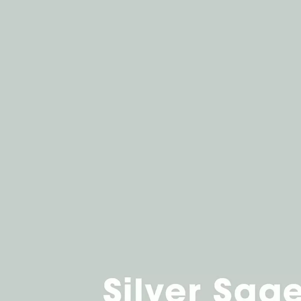 Outlet Muurverf Professional Silver Sage - 1 L Muurverf