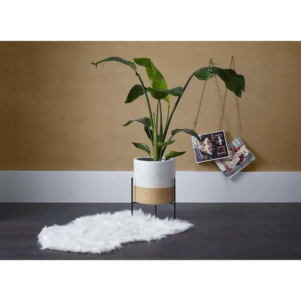 Outlet Vloerkleed Furdale Wit Vloerkleden